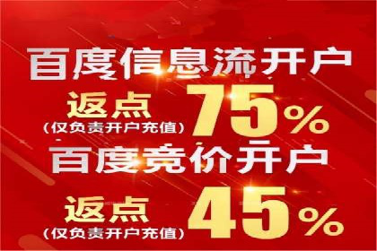 百度搜索推广实战经验：经典案例剖析